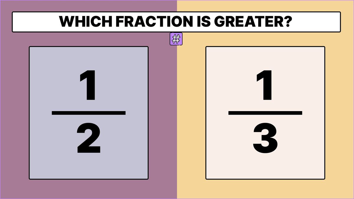Fraction 1/2 displayed on one side and fraction 1/3 displayed on the other side